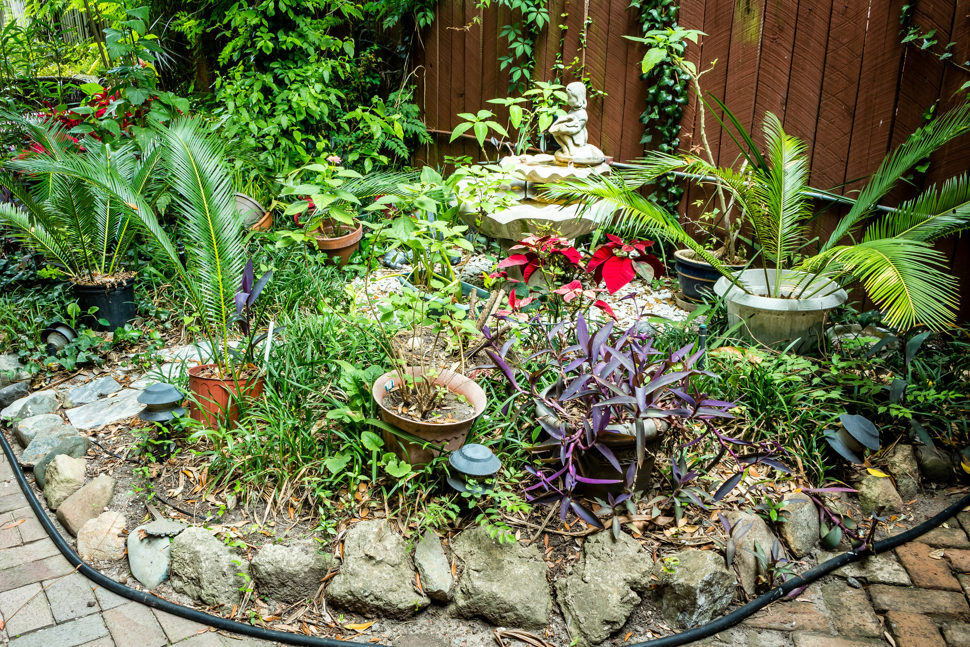 Amethyst Garden Panzió Savannah Kültér fotó